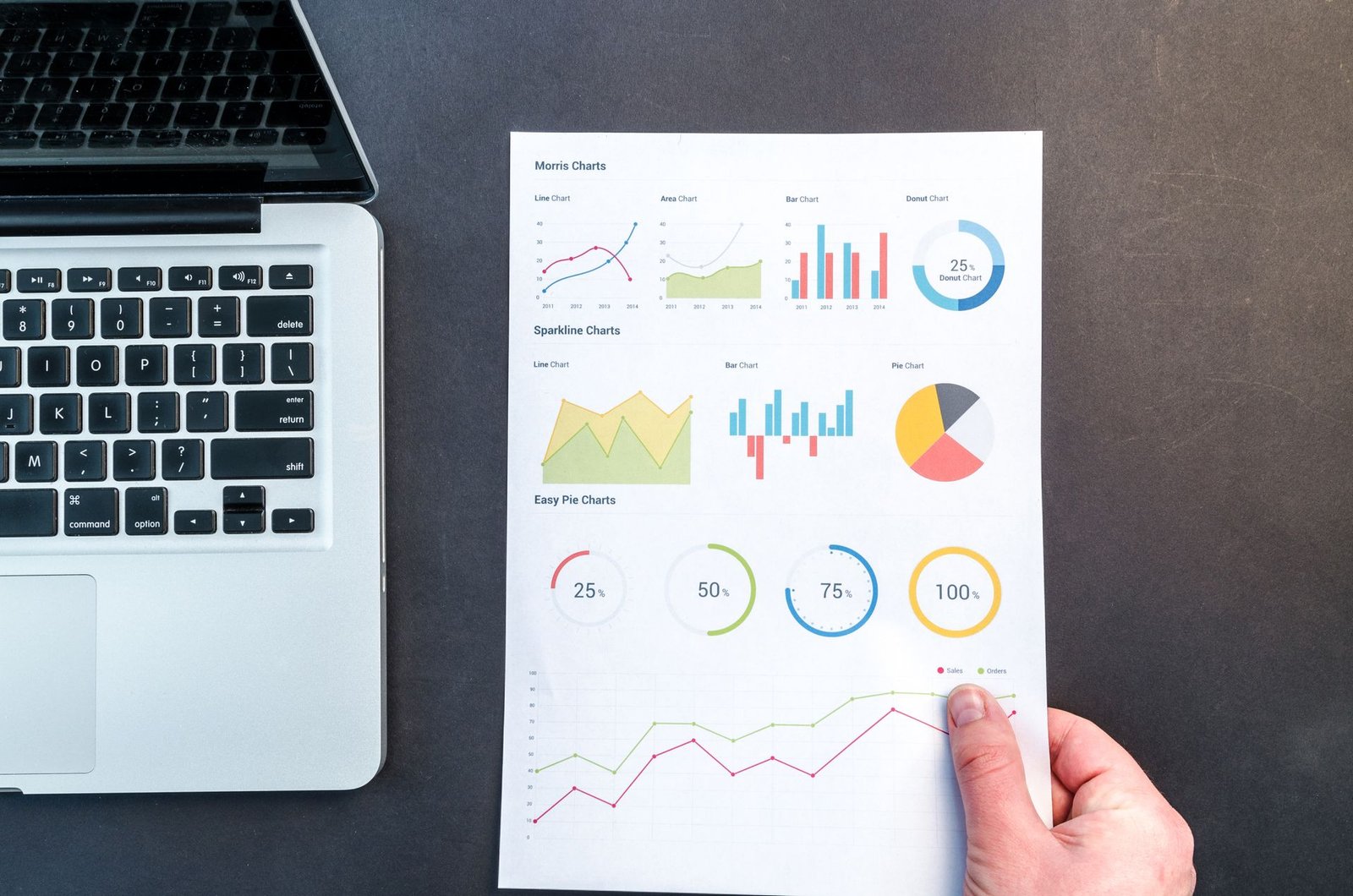 Gráficos de analytics — SEO para stand automóvel